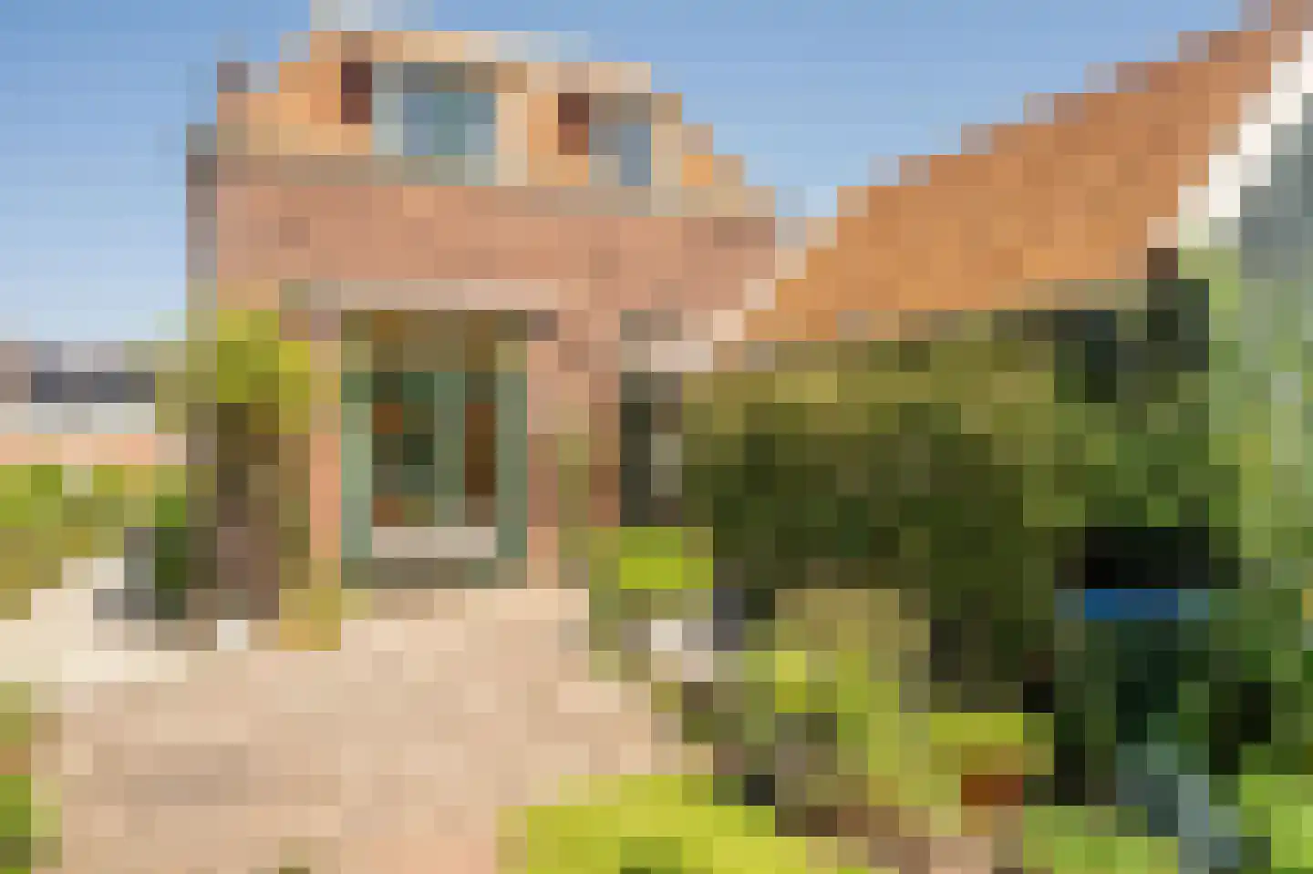 Heeswijk 6 Montfoort thumbnail 16