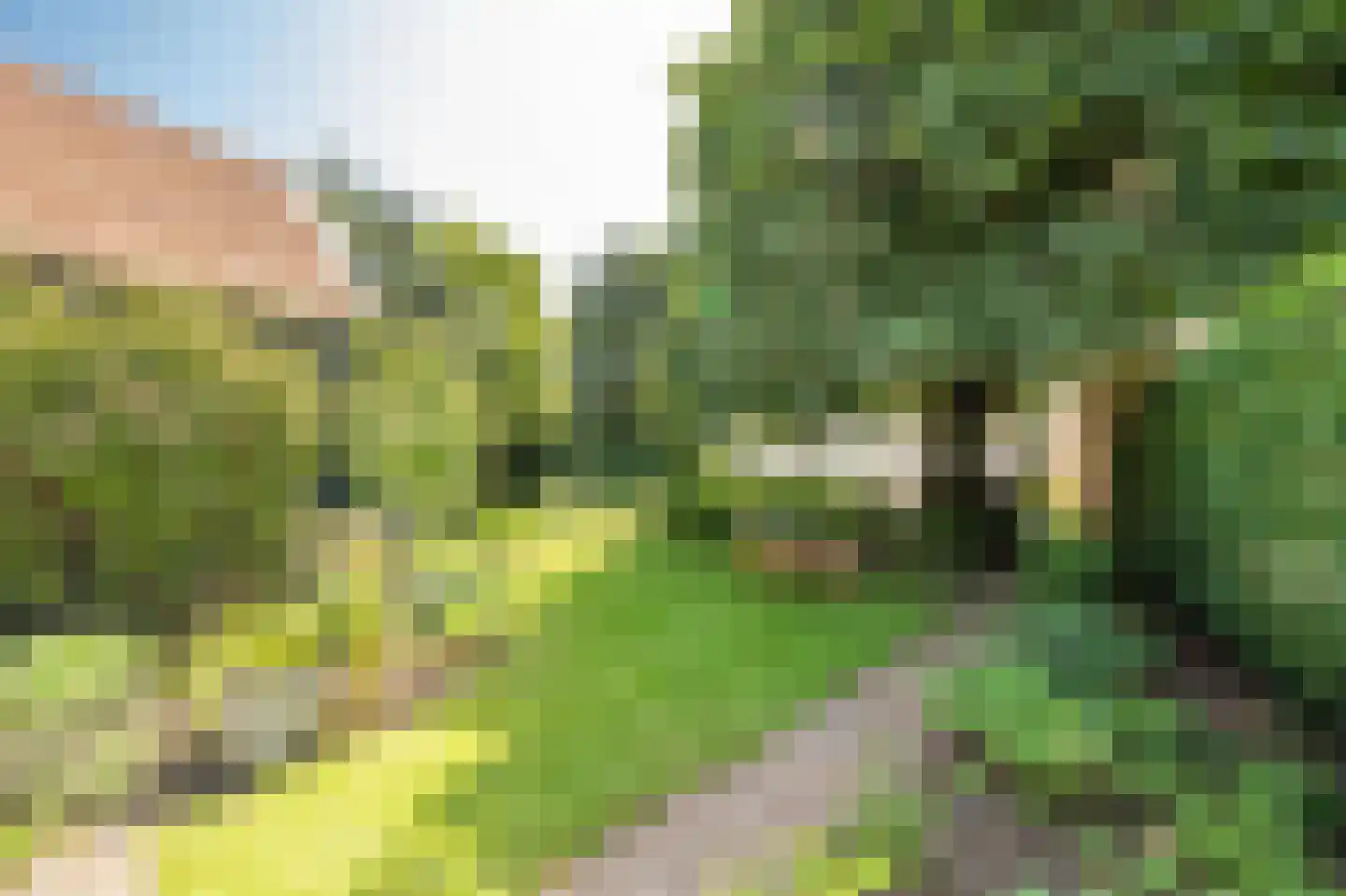 Heeswijk 6 Montfoort thumbnail 19