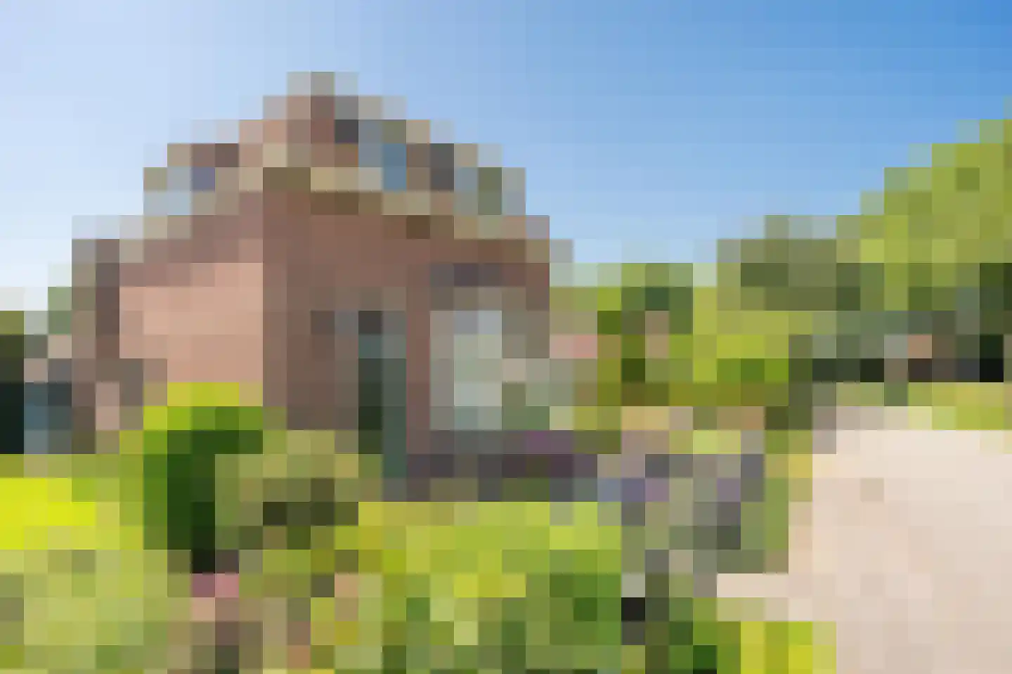 Heeswijk 6 Montfoort thumbnail 21
