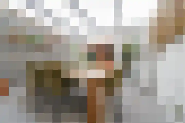 Heeswijkdam 14 Rotterdam thumbnail 10