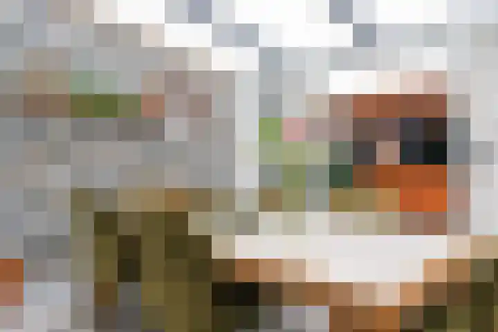 Heeswijkdam 14 Rotterdam thumbnail 11