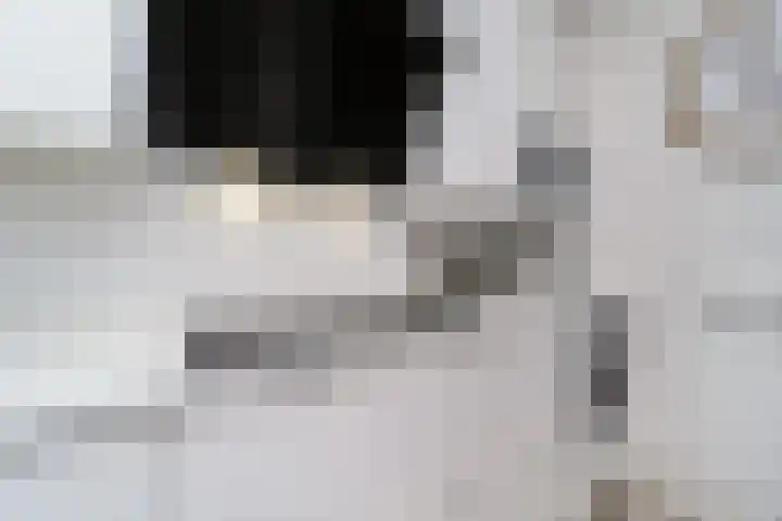 Heeswijkdam 14 Rotterdam thumbnail 14