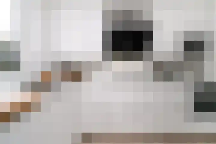 Heeswijkdam 14 Rotterdam thumbnail 15