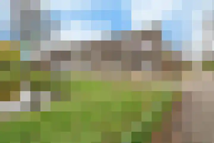 Heeswijkdam 14 Rotterdam thumbnail 32
