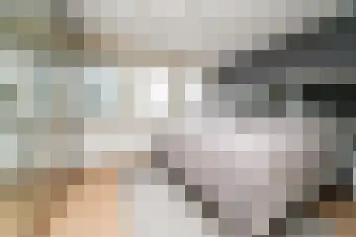 Heeswijkdam 14 Rotterdam thumbnail 4