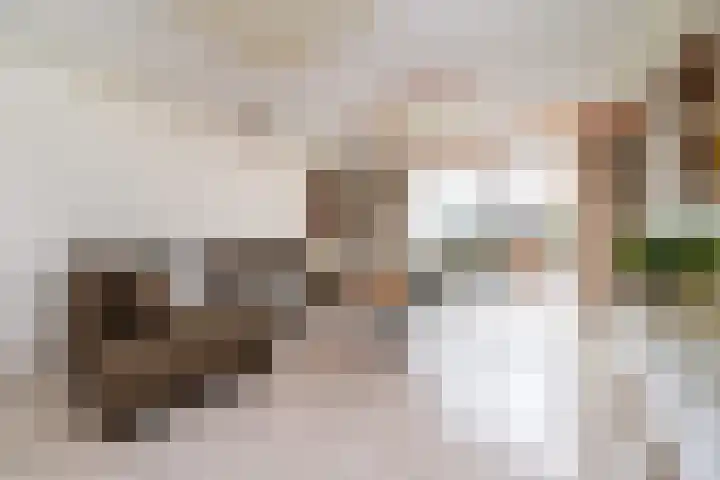 Heeswijkdam 14 Rotterdam thumbnail 6