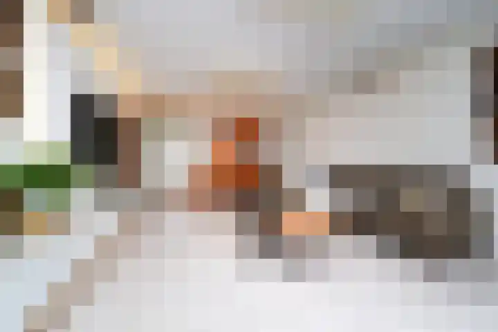 Heeswijkdam 14 Rotterdam thumbnail 8
