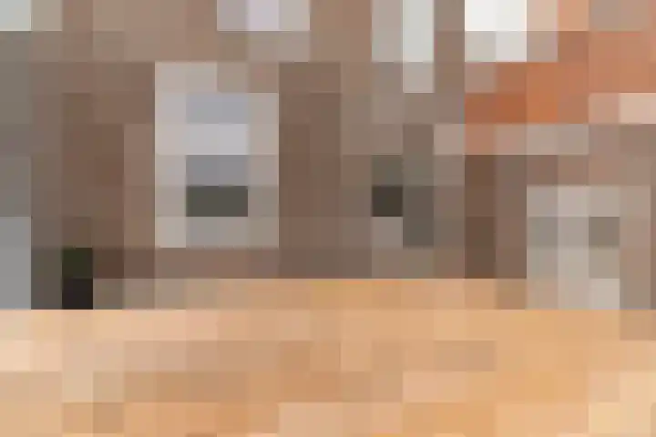 Heeswijkstraat 41 Voorburg thumbnail 25