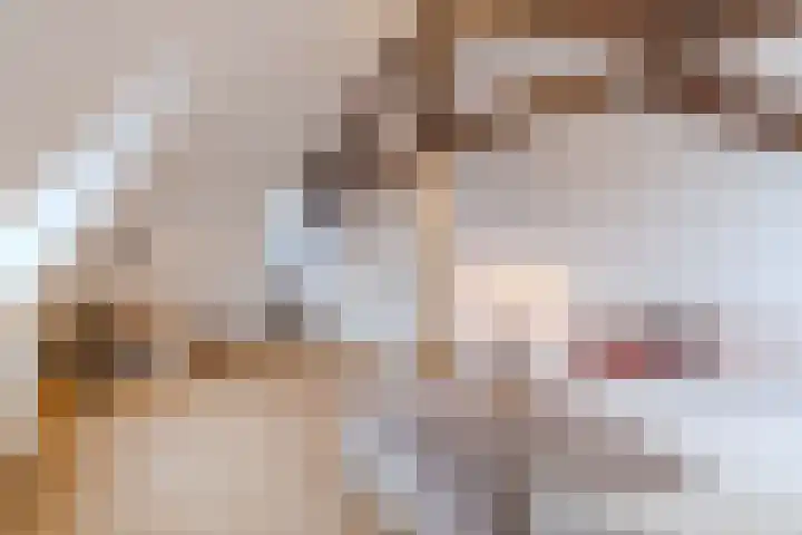 Heeswijkstraat 41 Voorburg thumbnail 32