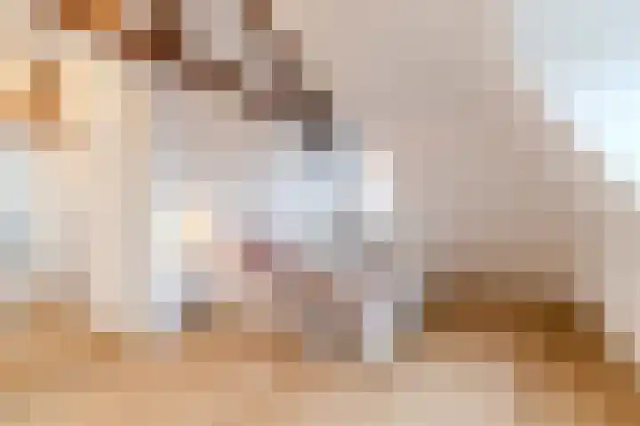 Heeswijkstraat 41 Voorburg thumbnail 33