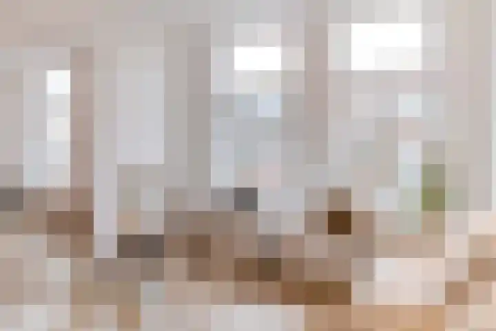 Heeswijkstraat 41 Voorburg thumbnail 4