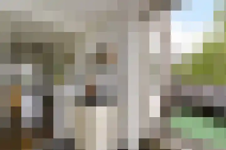 Heeswijkstraat 42 Voorburg thumbnail 14