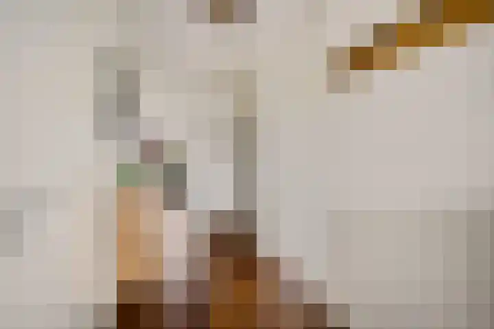 Heeswijkstraat 42 Voorburg thumbnail 21