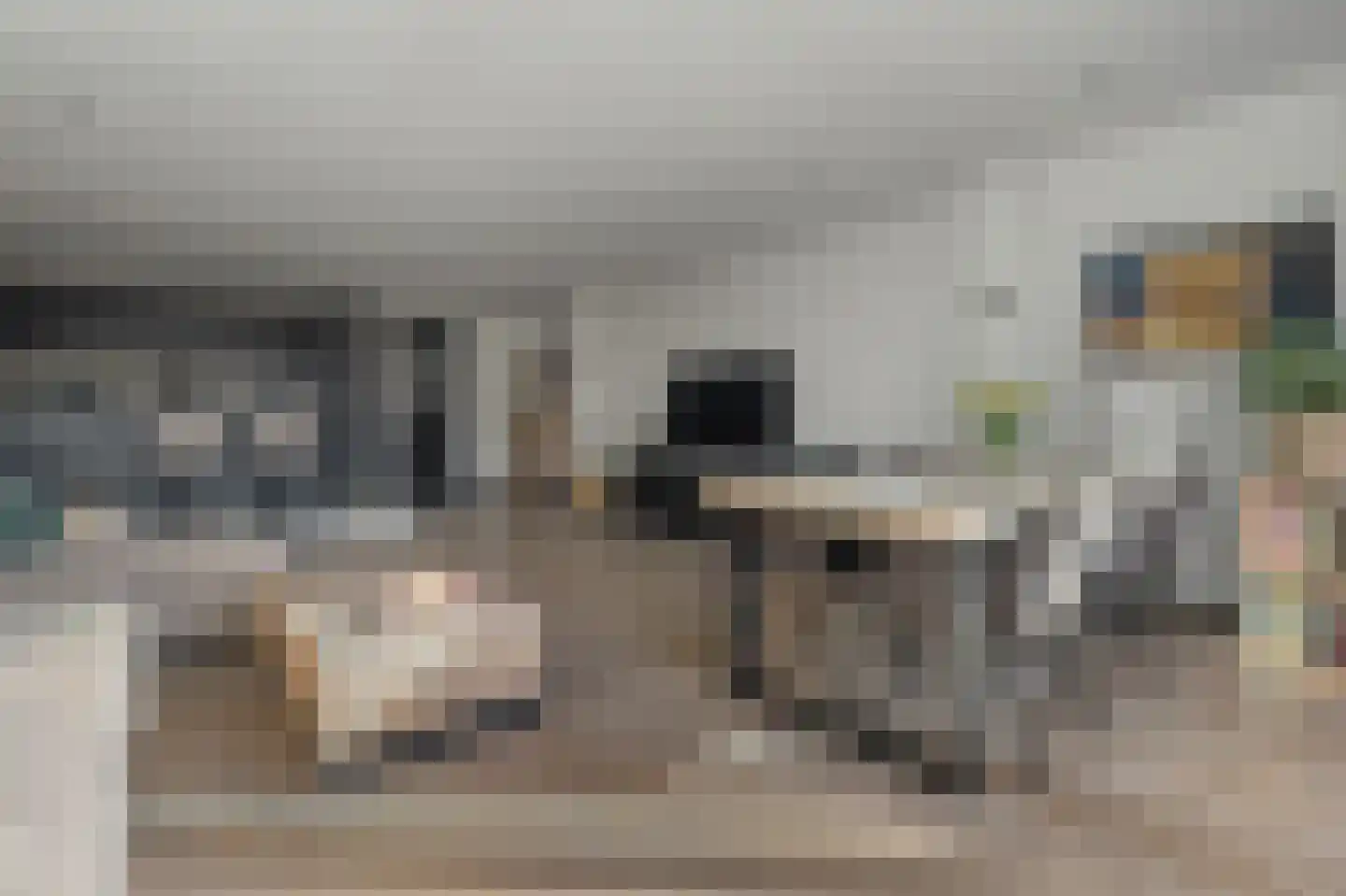 Heeswijkstraat 46 Voorburg thumbnail 12