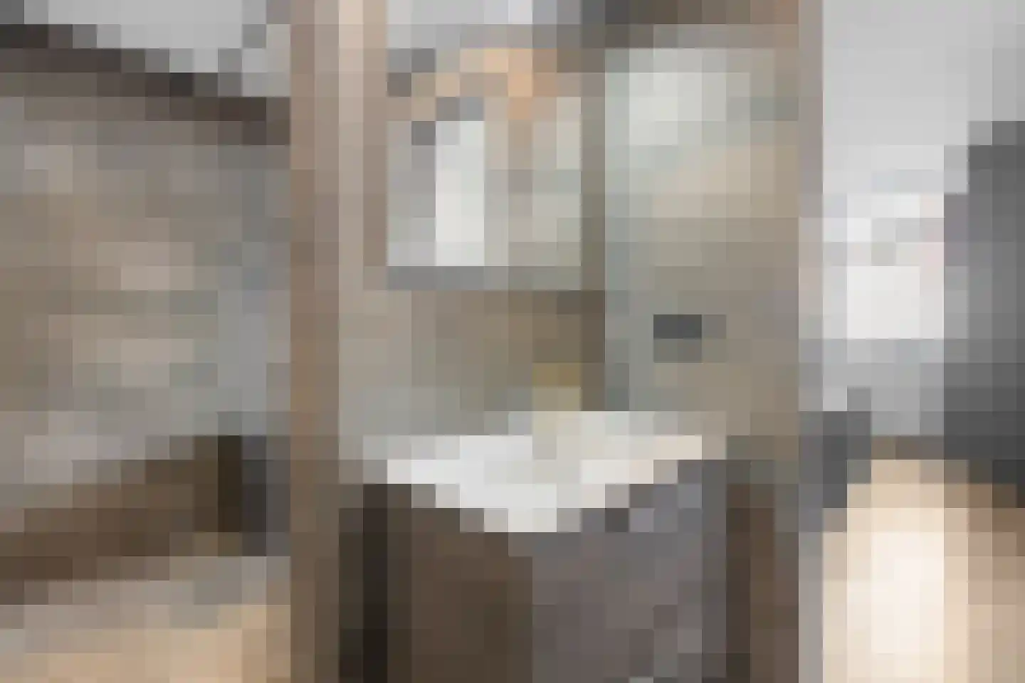 Heeswijkstraat 46 Voorburg thumbnail 31