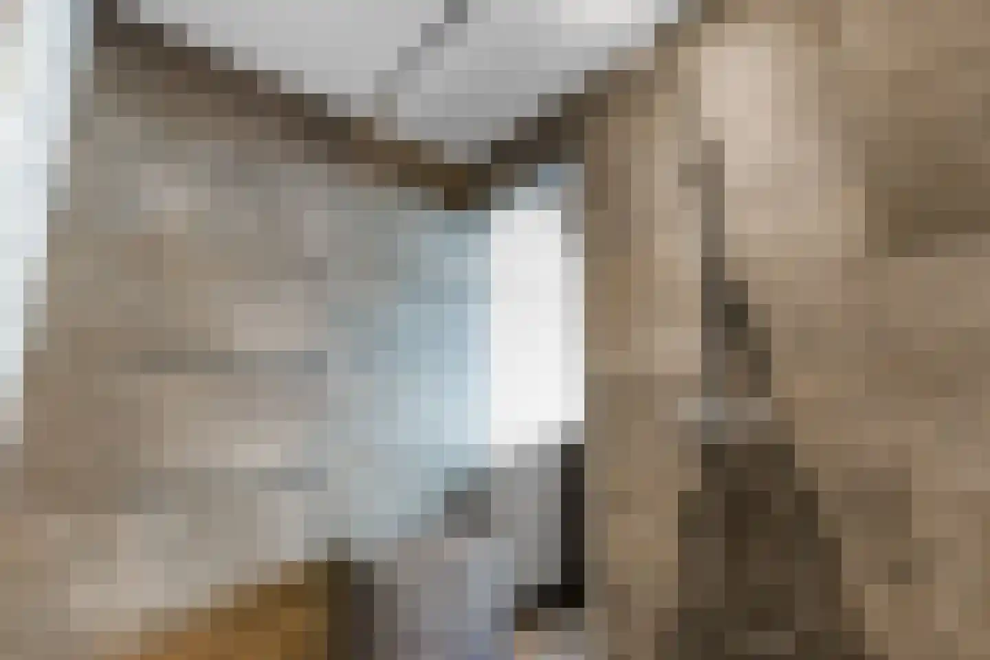 Heeswijkstraat 46 Voorburg thumbnail 32
