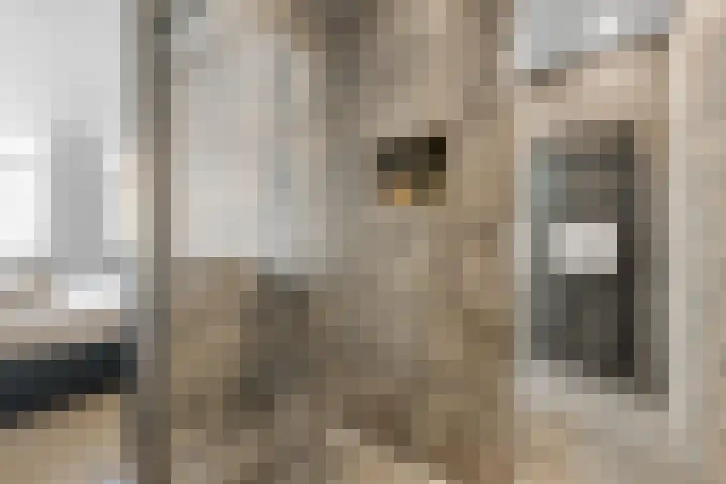 Heeswijkstraat 46 Voorburg thumbnail 33