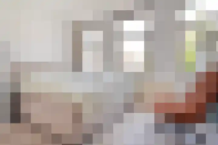 Heeswijkstraat 56 Voorburg thumbnail 32