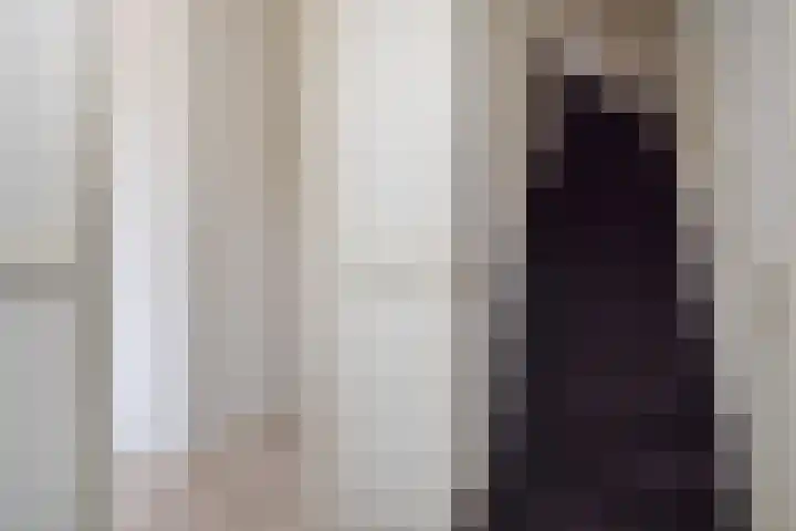 Heeswijkstraat 56 Voorburg thumbnail 5