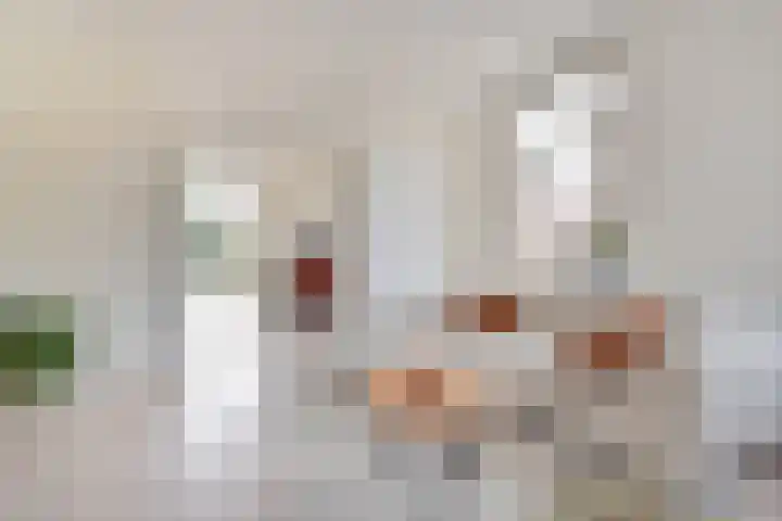 Heeswijkstraat 56 Voorburg thumbnail 9