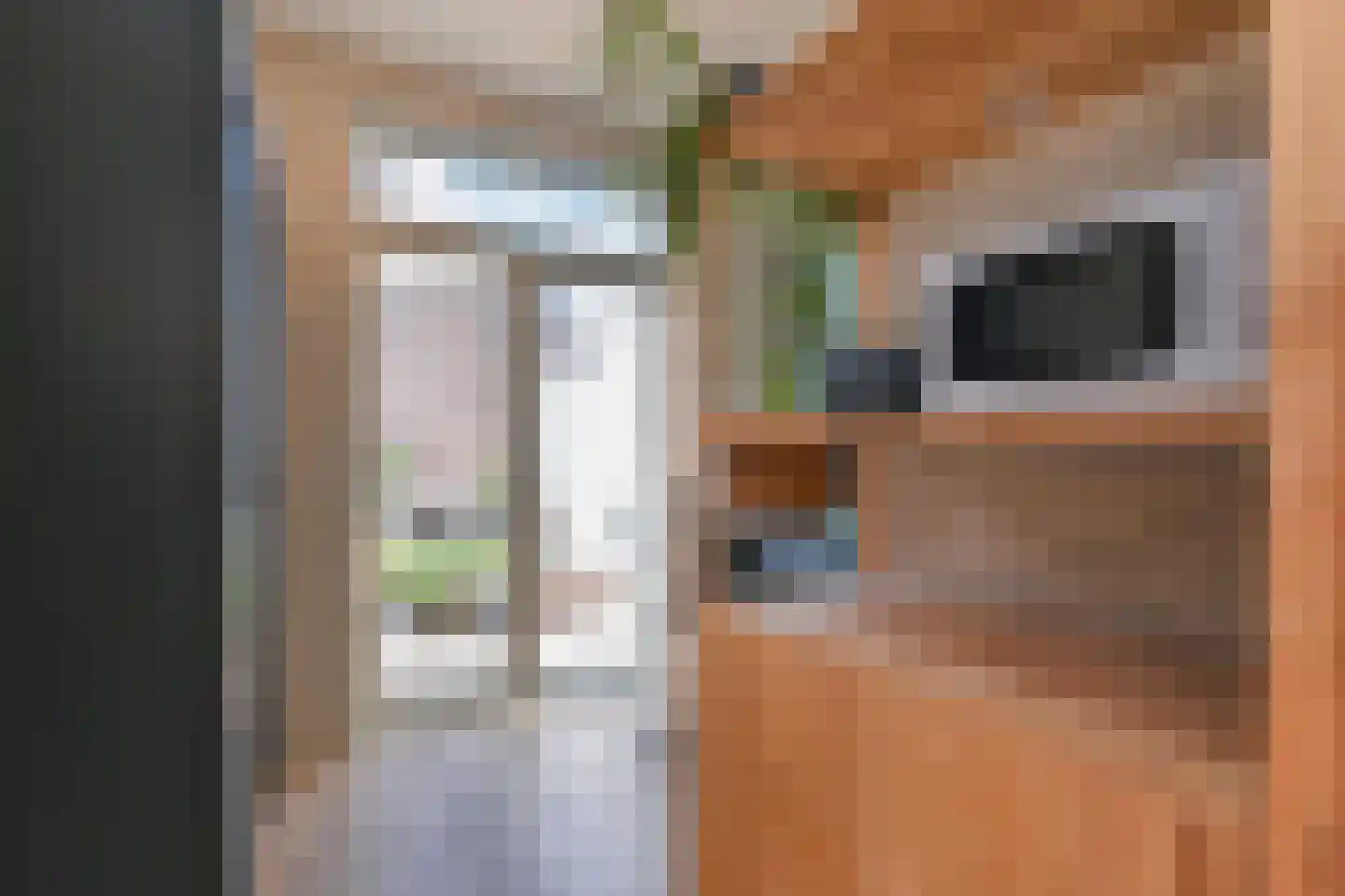 Heeswijkstraat 66 Voorburg thumbnail 13