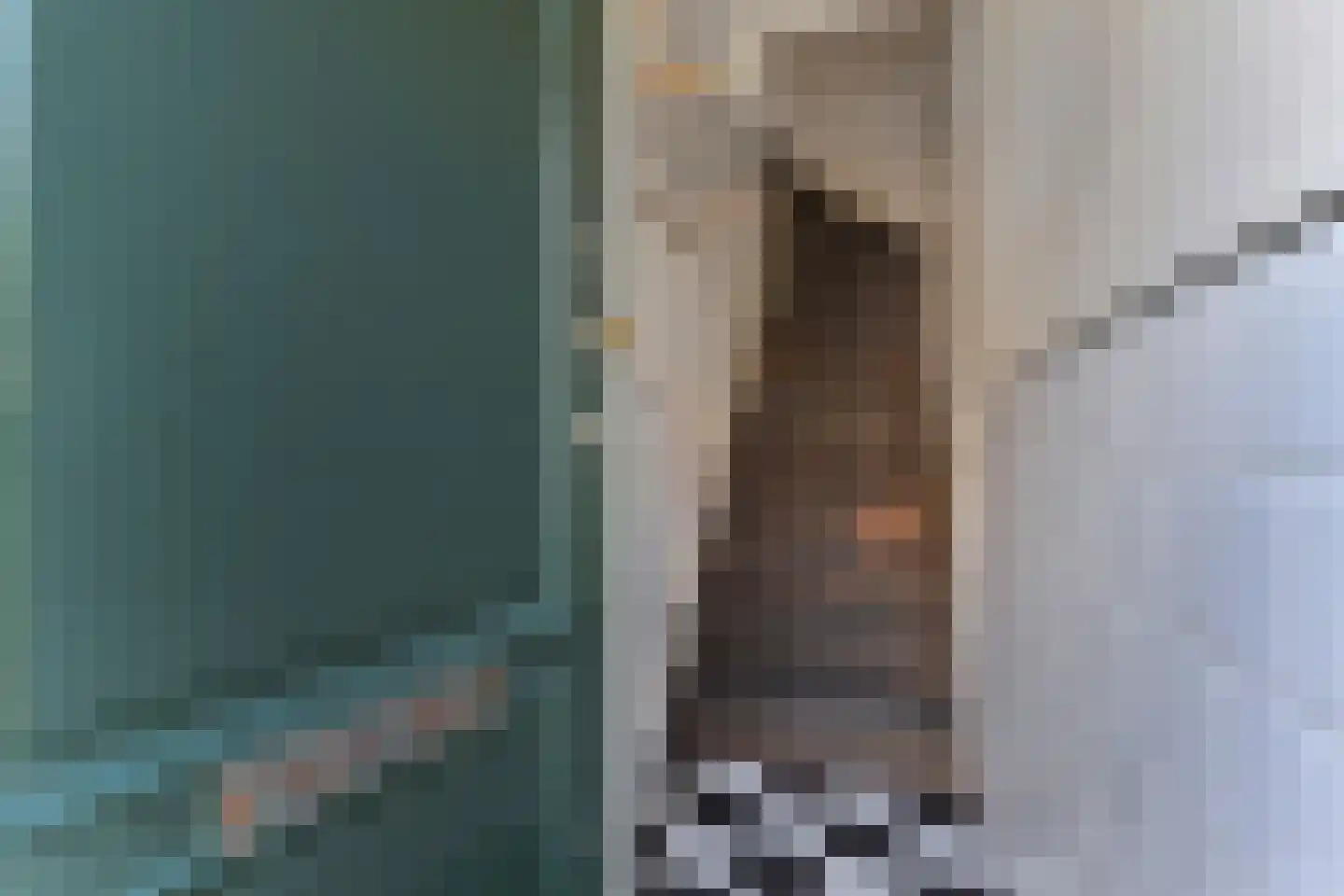 Heeswijkstraat 66 Voorburg thumbnail 32