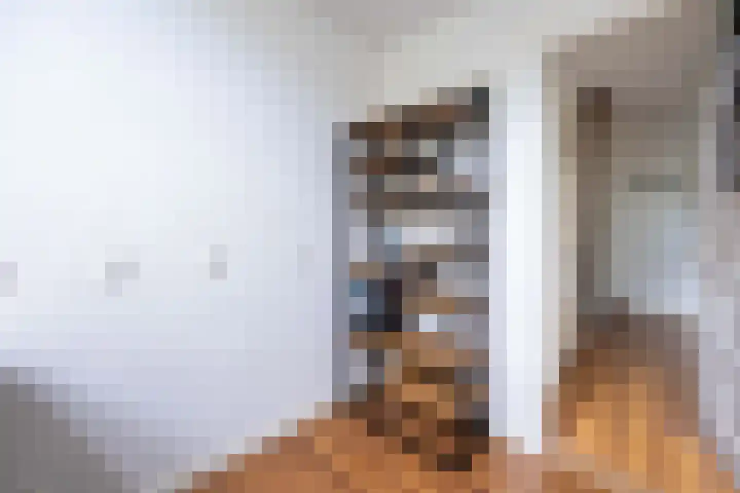 Heeswijkstraat 87 Voorburg thumbnail 16