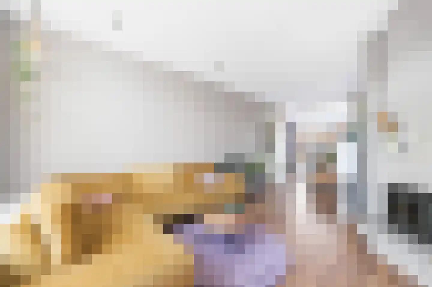 Heeswijkstraat 87 Voorburg thumbnail 8