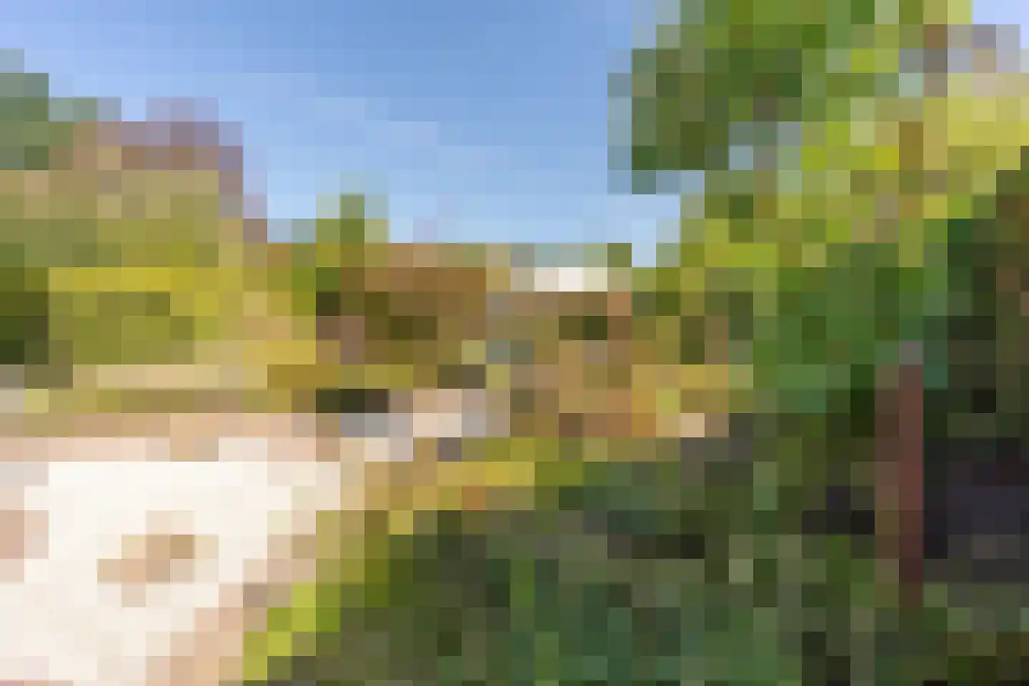 Heetakker 16 Soest thumbnail 20