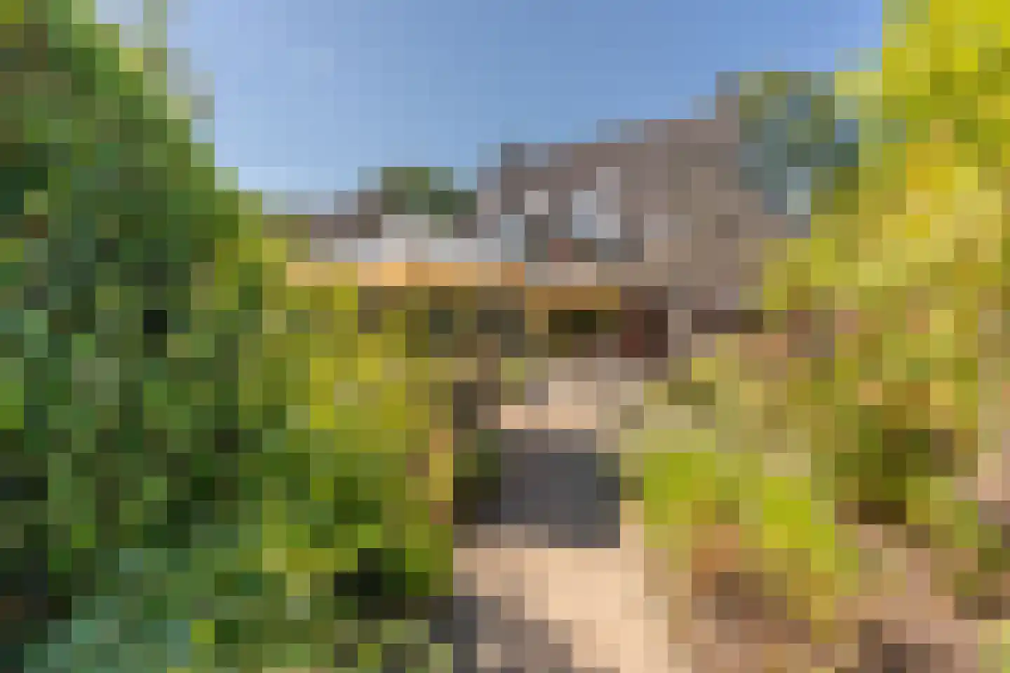 Heetakker 16 Soest thumbnail 25