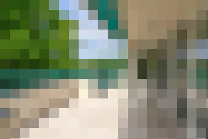 Heetakker 49 Soest thumbnail 14