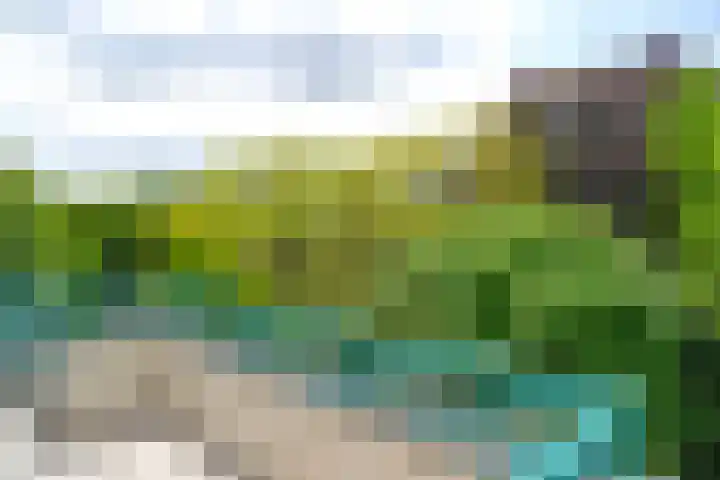 Heetakker 49 Soest thumbnail 15