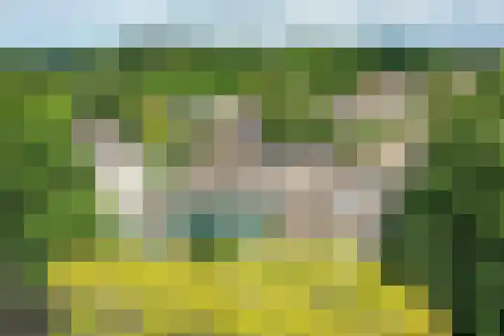 Heetakker 49 Soest foto 2