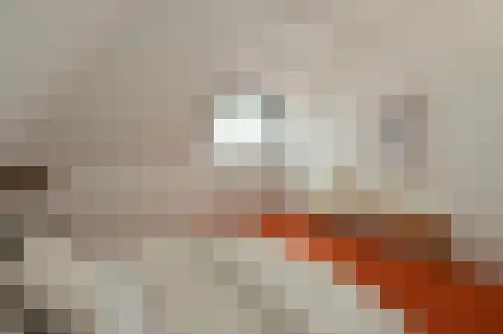 Heetakker 49 Soest thumbnail 20