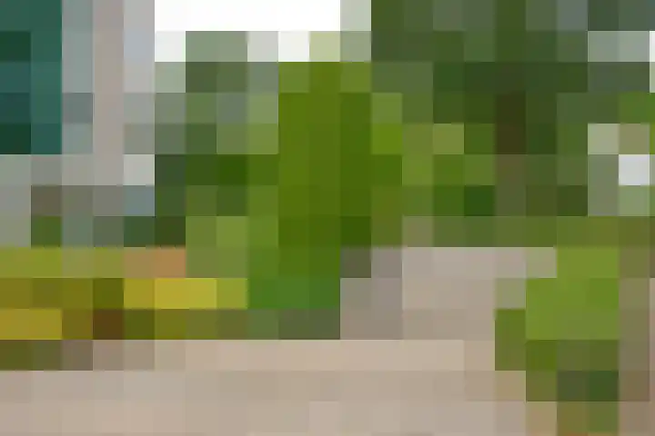 Heetakker 49 Soest thumbnail 23