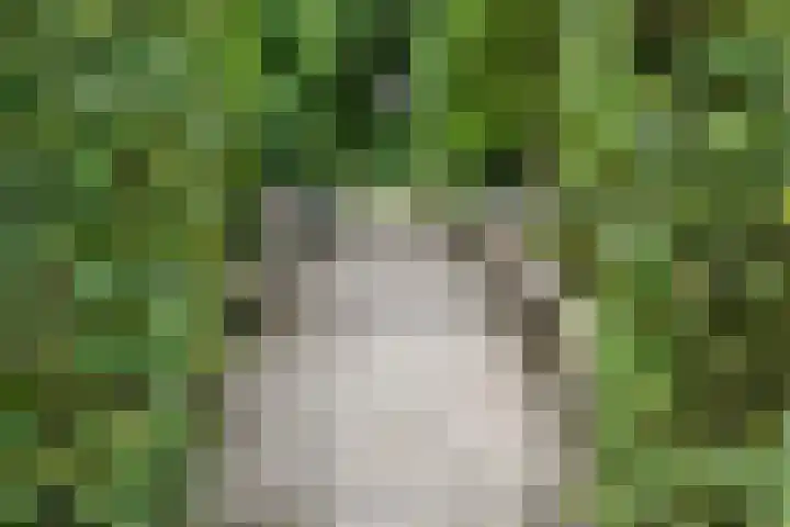 Heetakker 49 Soest thumbnail 25