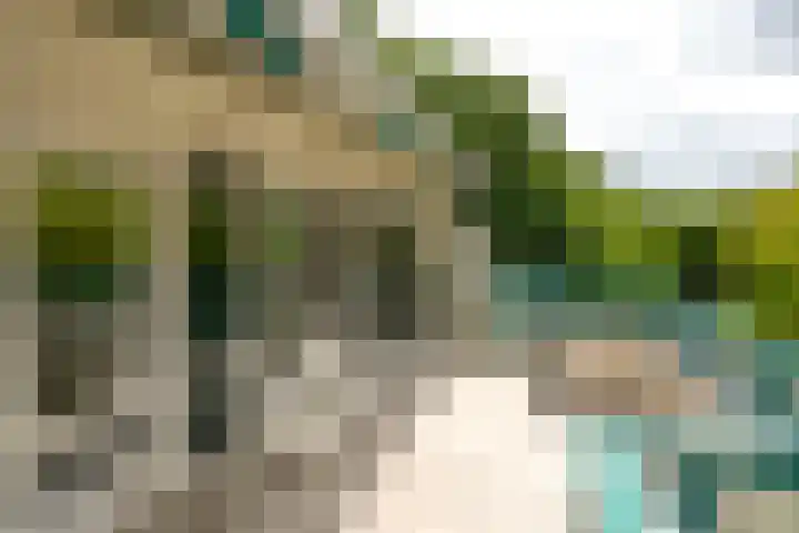 Heetakker 49 Soest foto 3