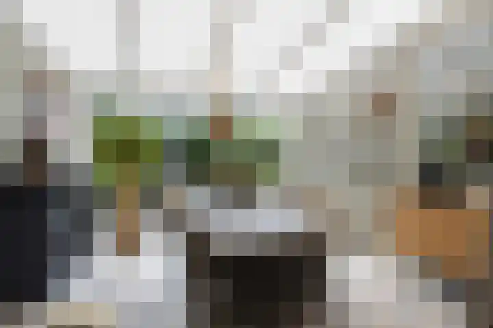 Heetakker 51 Soest thumbnail 12