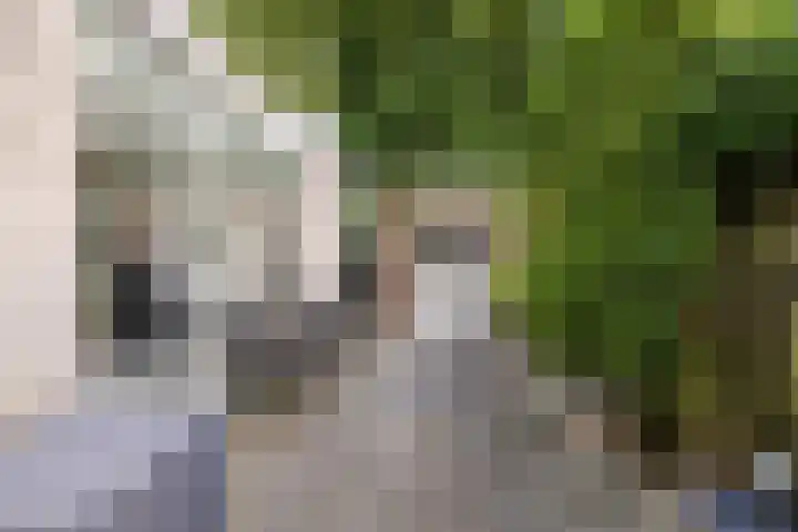 Heetakker 51 Soest thumbnail 14