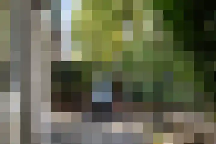 Heetakker 51 Soest thumbnail 16