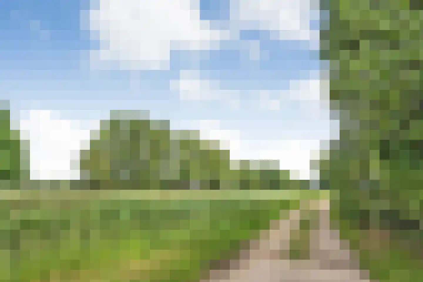 Heetenseweg 7 Heeten thumbnail 14