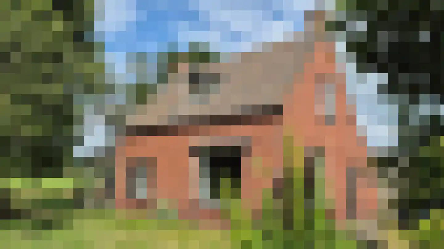 Heetenseweg 7 Heeten thumbnail 16