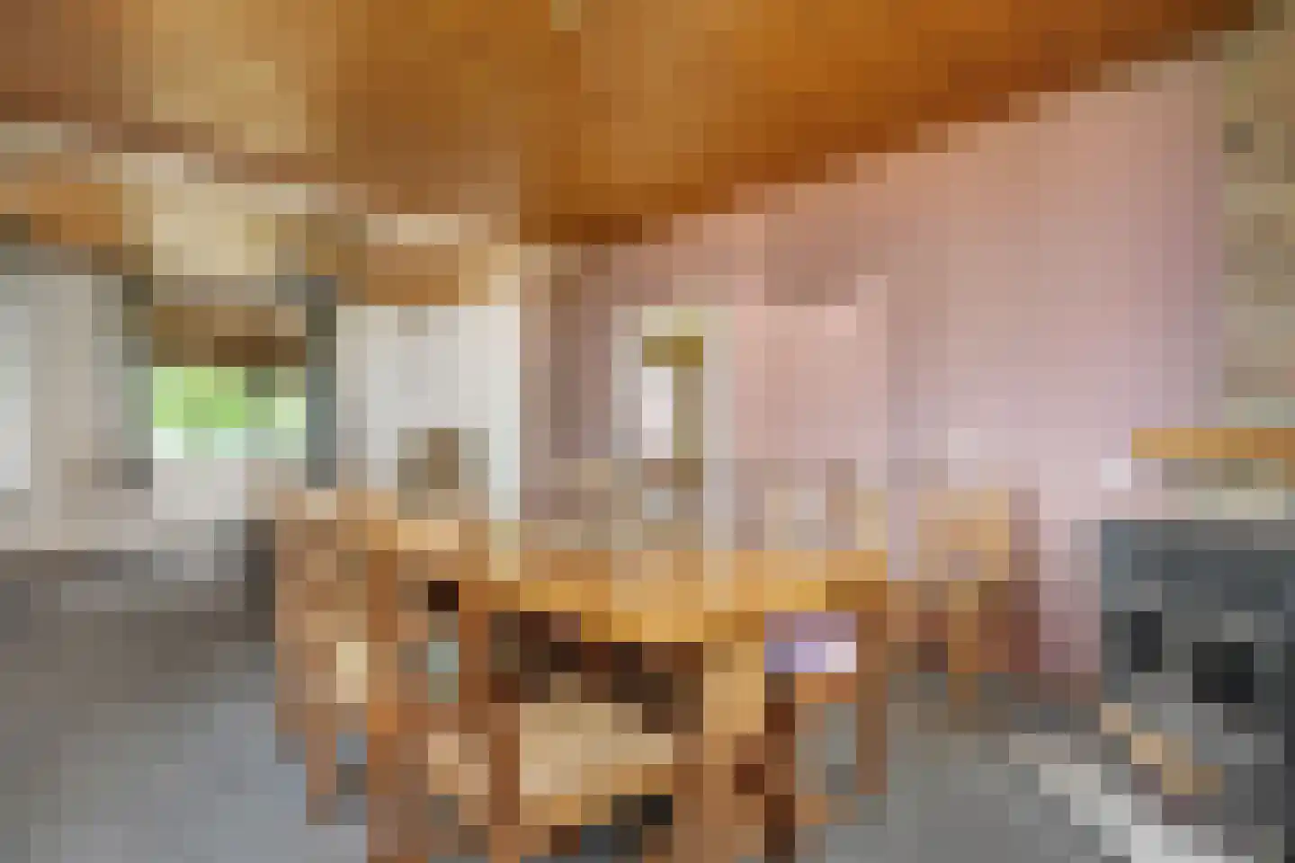 Heetenseweg 7 Heeten thumbnail 22