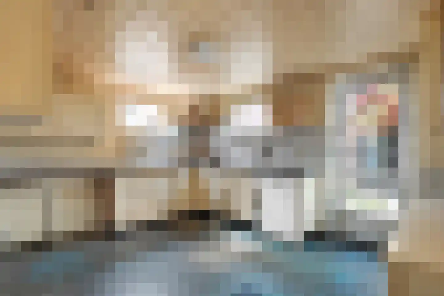 Heetenseweg 7 Heeten thumbnail 28