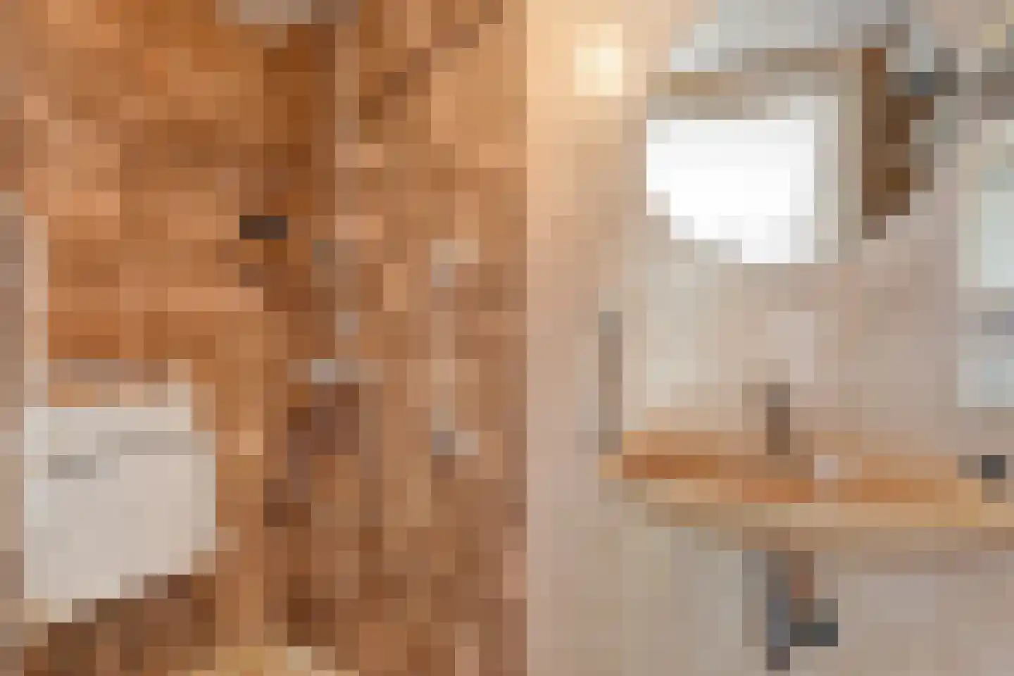 Heetenseweg 7 Heeten thumbnail 33