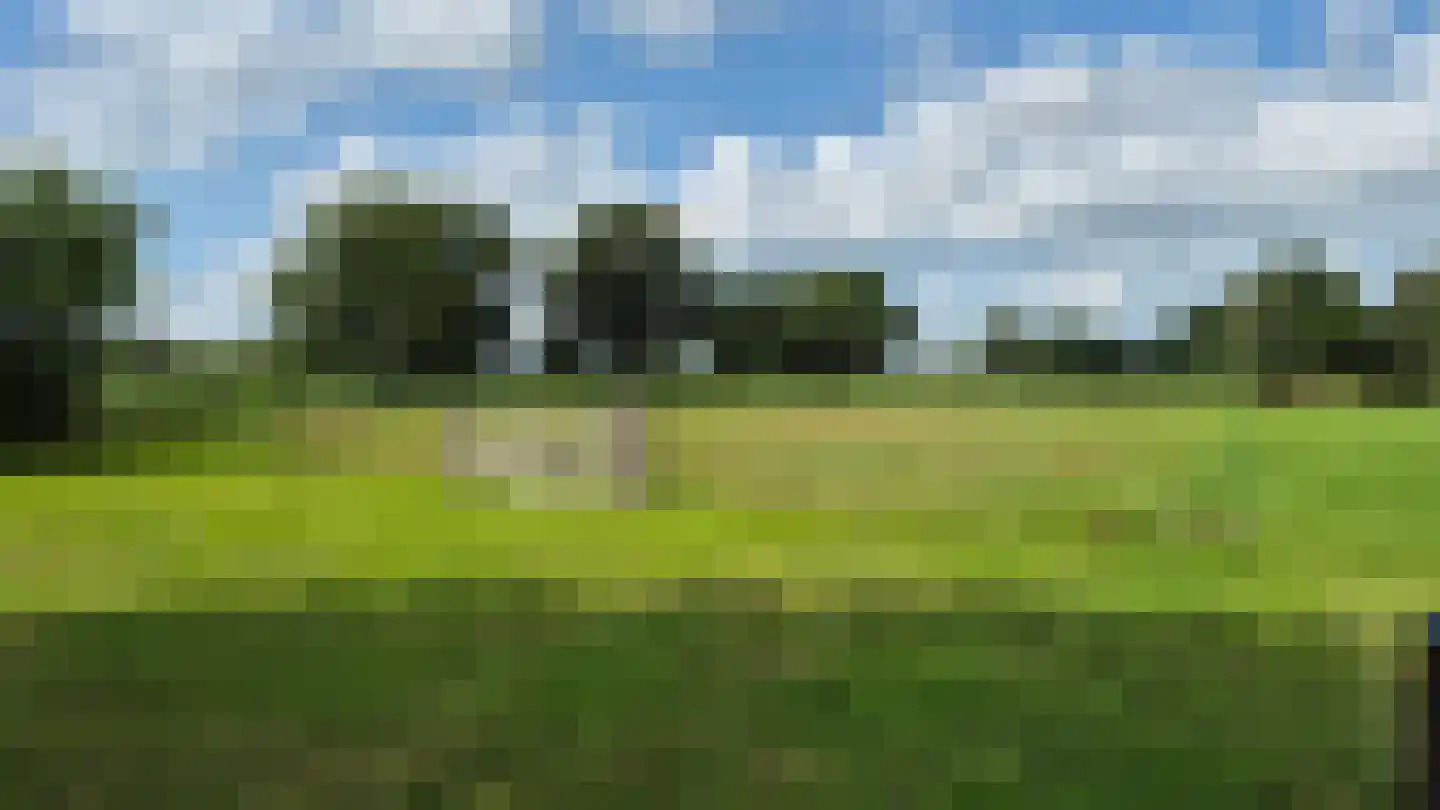 Heetenseweg 7 Heeten thumbnail 42