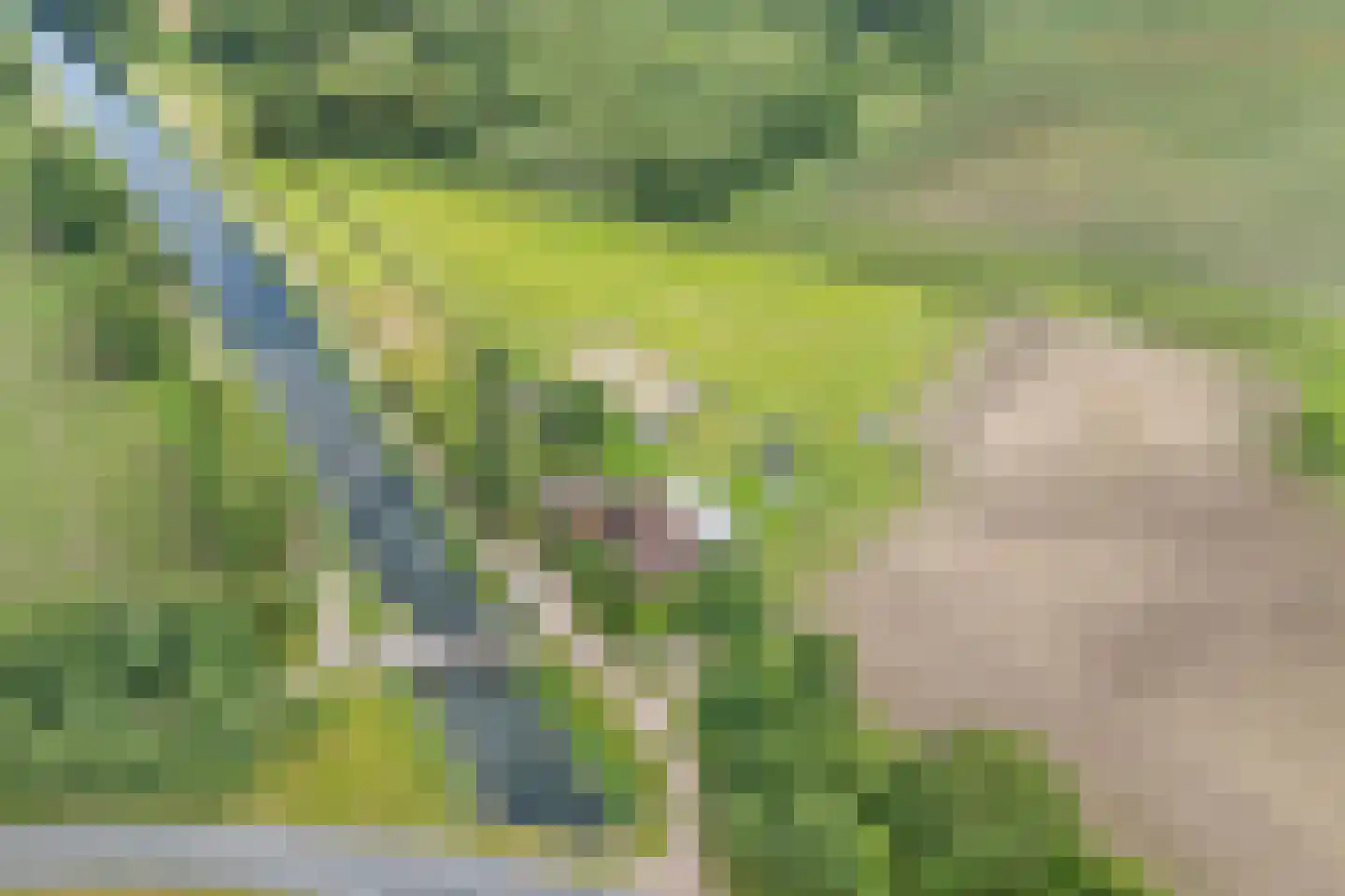 Heetenseweg 7 Heeten thumbnail 9