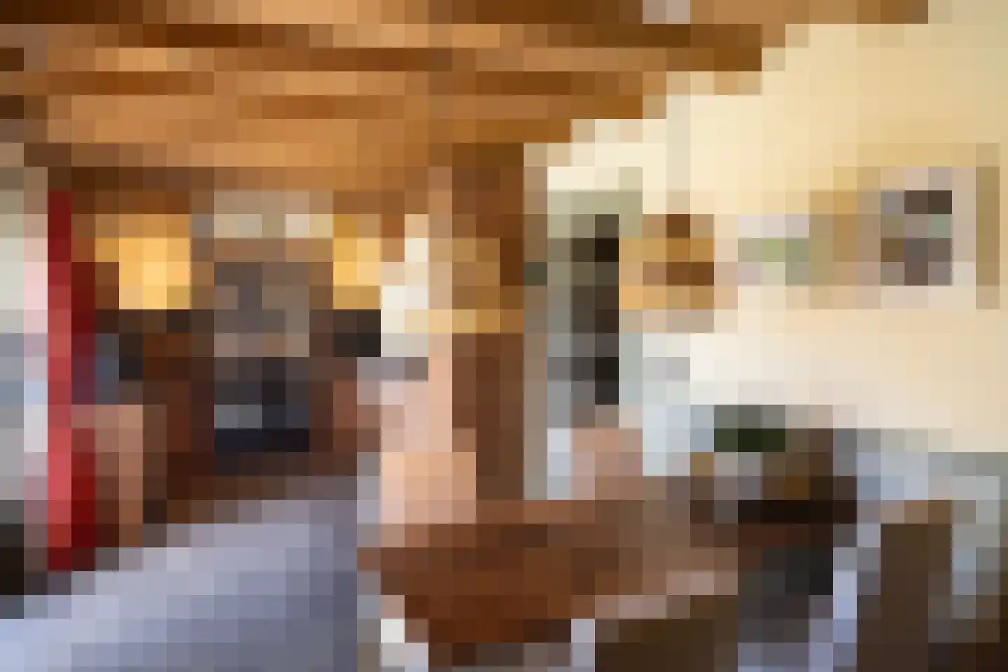 Heetkamp 16 Elspeet thumbnail 16