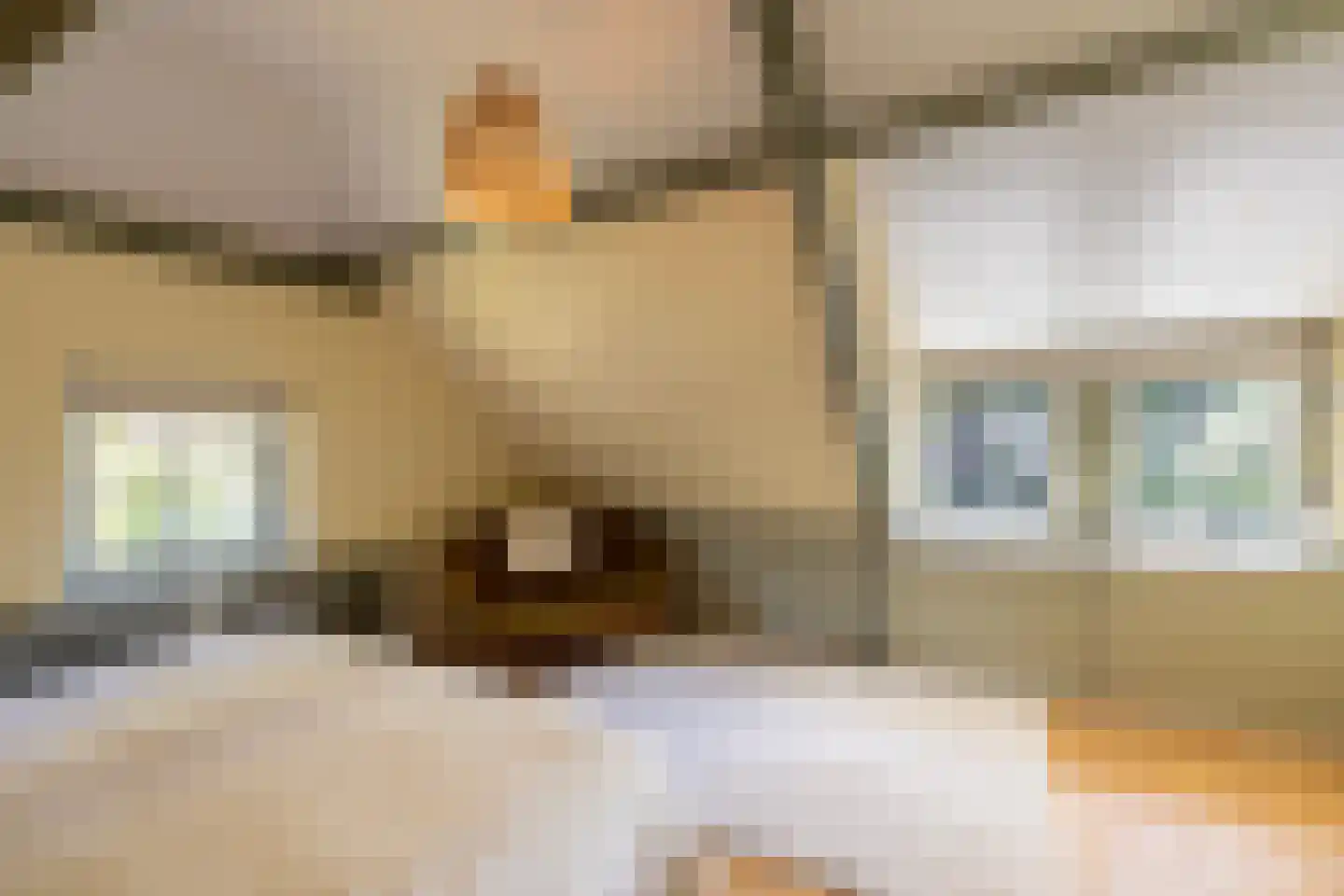 Heetkamp 16 Elspeet thumbnail 27