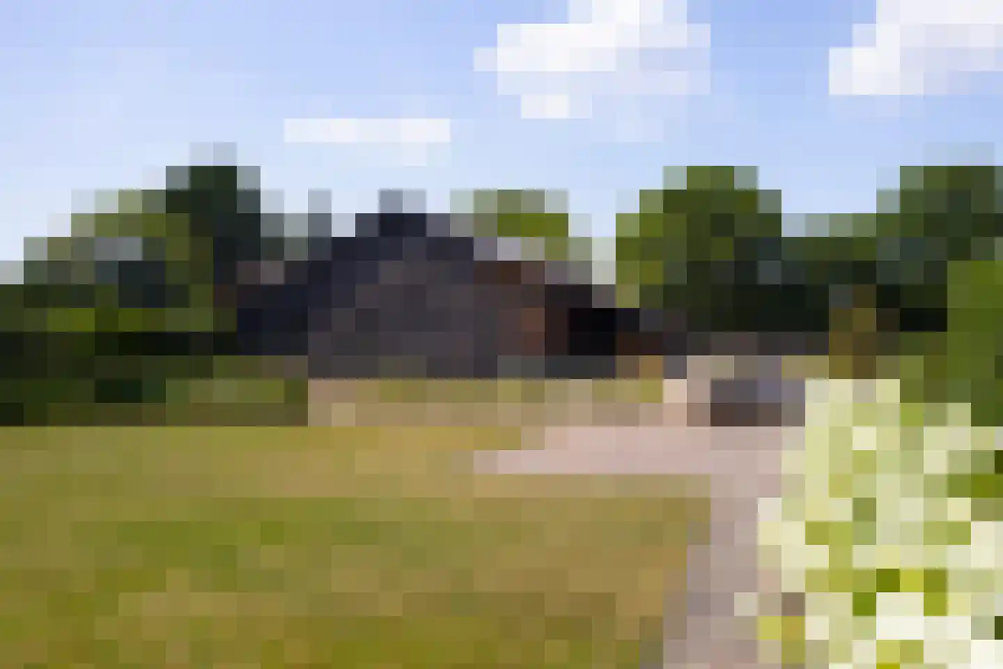 Heetkamp 16 Elspeet thumbnail 49